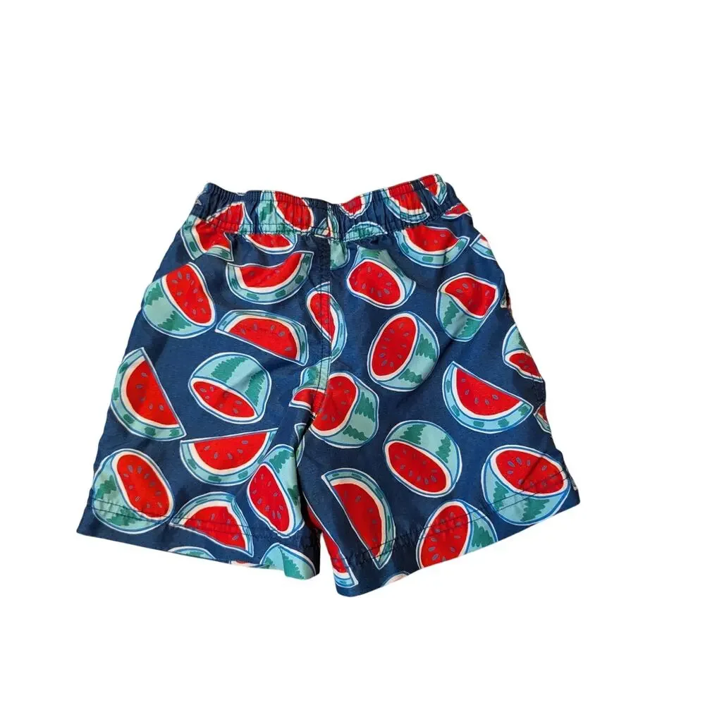 Hanna Andersson Boys Blue Watermelon Print Swim Trunks Mesh Lined Shorts Size 4